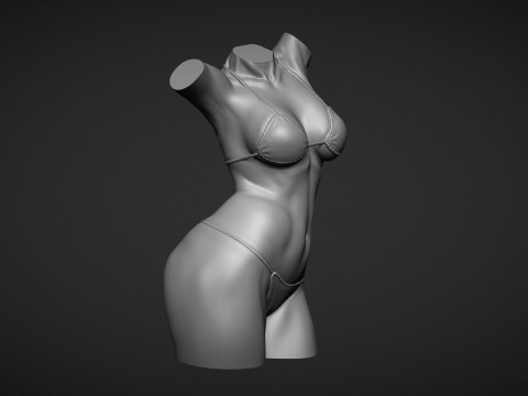 Female Torso 3D Druckmodell