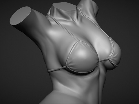 Female Torso 3D Druckmodell
