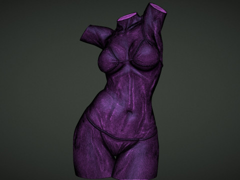 Female Torso 3D Druckmodell