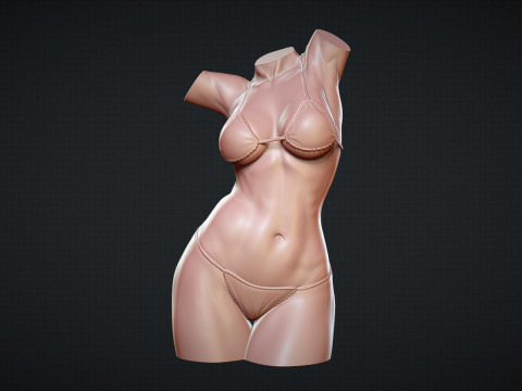 Female Torso 3D Druckmodell