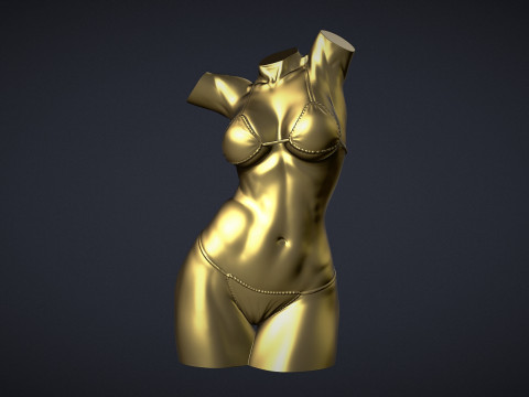 Female Torso 3D Druckmodell
