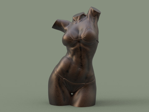 Female Torso 3D Druckmodell