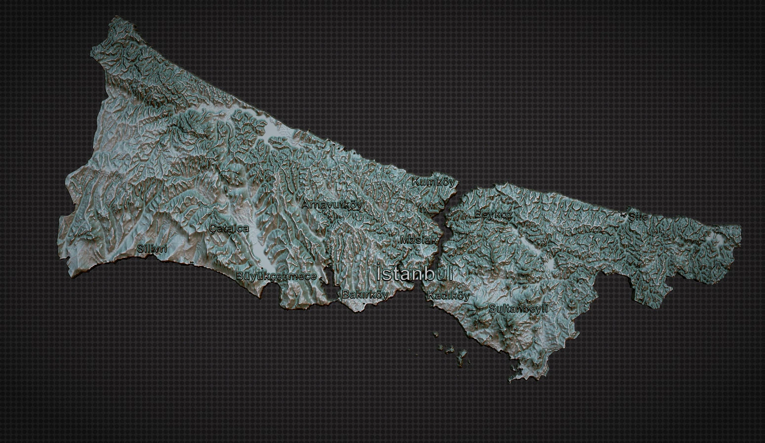 Istanbul City 3d map 3D Print Model .c4d .max .obj .3ds .fbx .stl .blend 