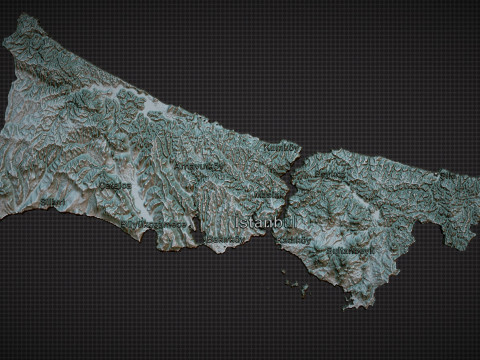 Istanbul City 3d map Modelo de Impressão 3D