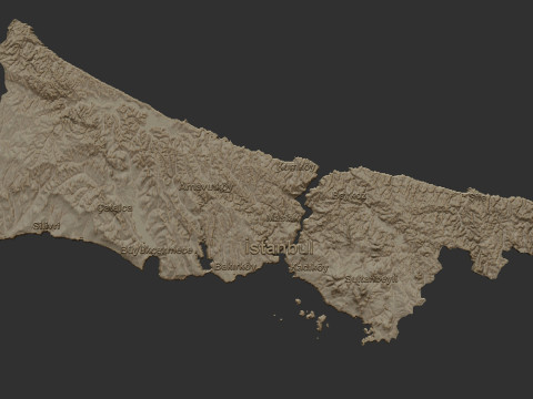 Istanbul City 3d map 3D Baskı Modeli