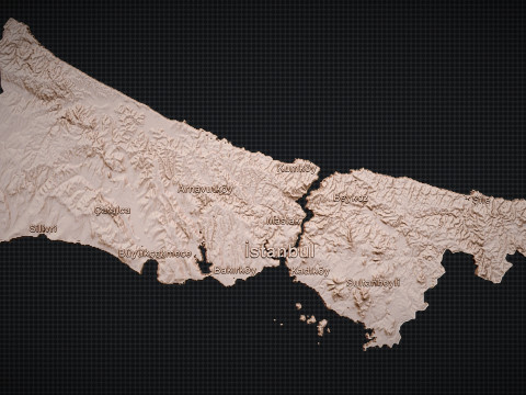 Istanbul City 3d map 3D Baskı Modeli