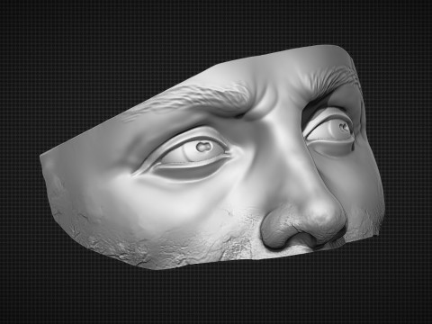 Male Face 3D Druckmodell
