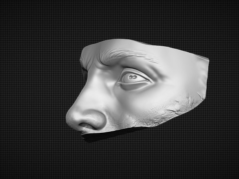 Male Face 3D Druckmodell