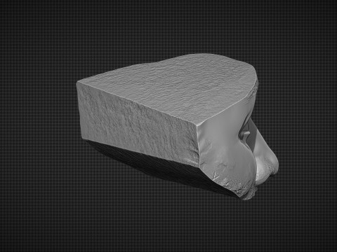 Male Face 3D Druckmodell