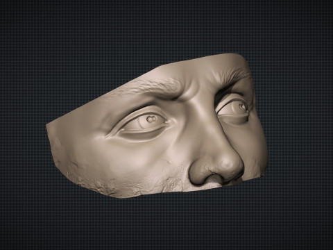 Male Face 3D Druckmodell