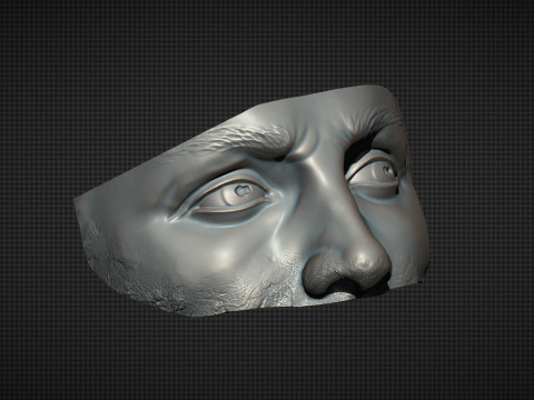 Male Face 3D Druckmodell
