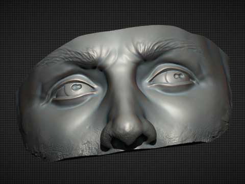Male Face 3D Druckmodell