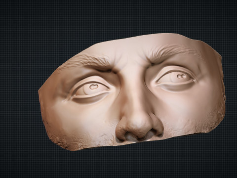 Male Face 3D Druckmodell