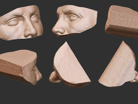 Male Face 3D Druckmodell