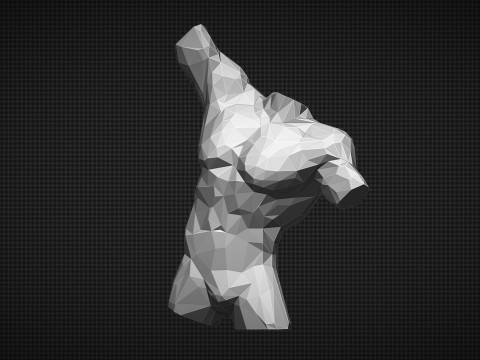 Male Torso Low Poly 3D Print Model