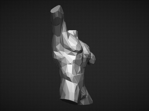 Male Torso Low Poly 3D Print Model