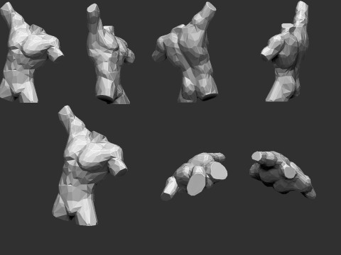 Male Torso Low Poly 3D Print Model