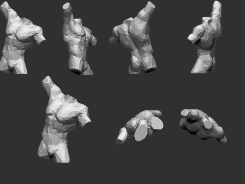 Male Torso Low Poly 3D Print Model