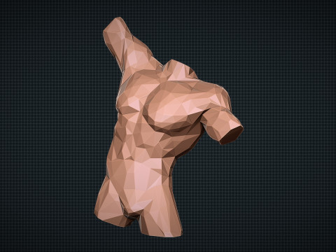 Male Torso Low Poly 3D Print Model