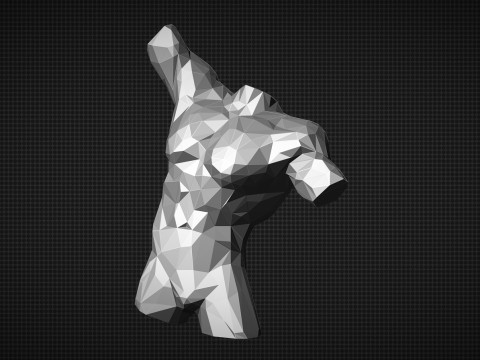 Male Torso Low Poly 3D Print Model