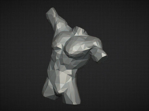 Male Torso Low Poly 3D Print Model