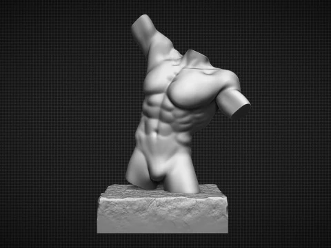 男性躯干 3D 打印模型