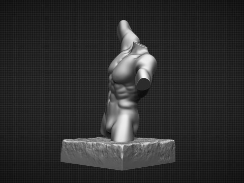 Male Torso Modèles 3D en vedette