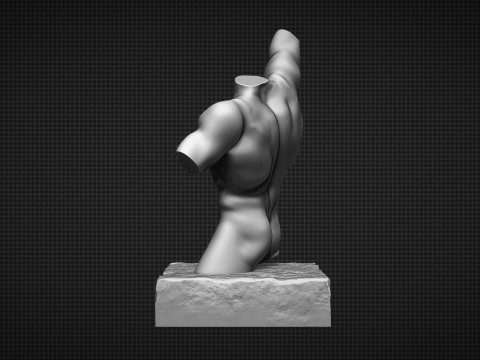 Male Torso Modèles 3D en vedette