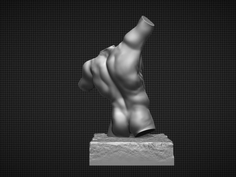 Male Torso Modèles 3D en vedette