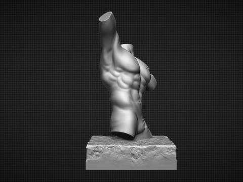 Male Torso Modèles 3D en vedette