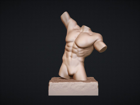 Male Torso Modèles 3D en vedette