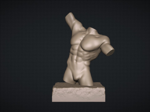 Male Torso Modèles 3D en vedette