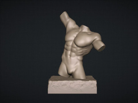 Male Torso 3D Print Model