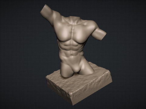 Male Torso Modèles 3D en vedette