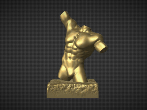 Male Torso Modèles 3D en vedette