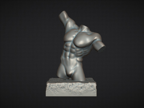 Male Torso Modèles 3D en vedette