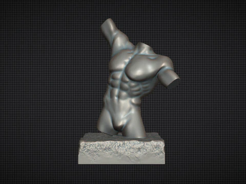 Male Torso 3D Print Model