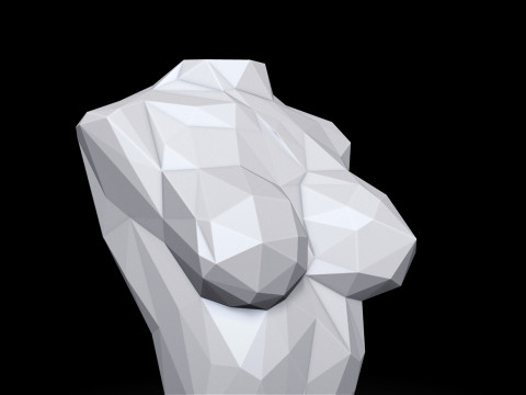 Female Torso Triangulated Stylized Model Cetak 3D