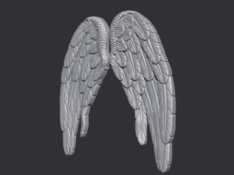 Angel Wings Bas Relief 3D Print Model