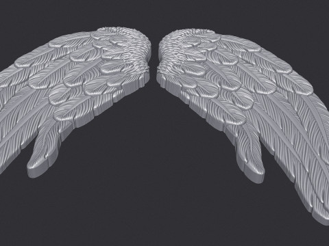 Angel Wings Bas Relief 3D Print Model
