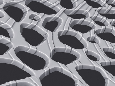 有机壁挂 3D 打印模型