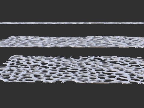 オーガニック壁掛け 3Dプリントモデル