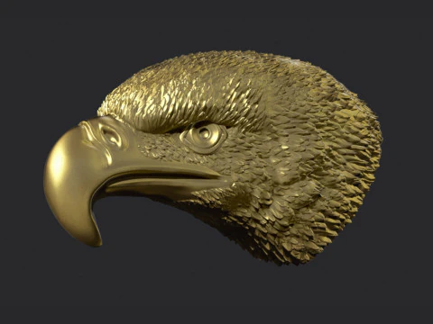 Eagle Head 3D Print Model
