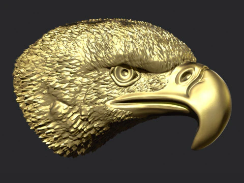 Eagle Head 3D Print Model