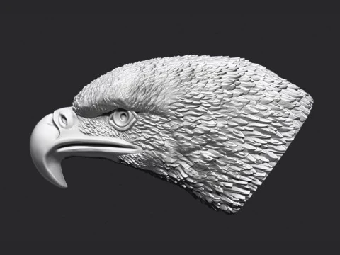 Eagle Head 3D Print Model