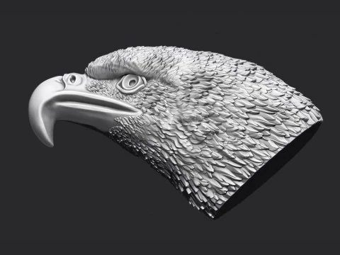 Eagle Head 3D Print Model