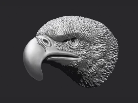 Eagle Head 3D Print Model