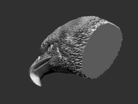 Eagle Head 3D Print Model