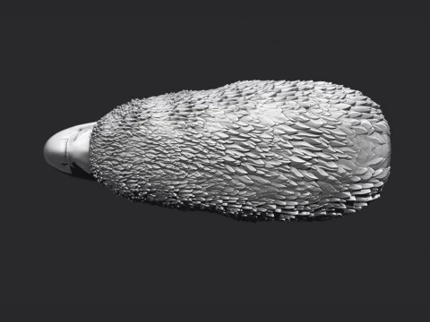 Eagle Head 3D Print Model
