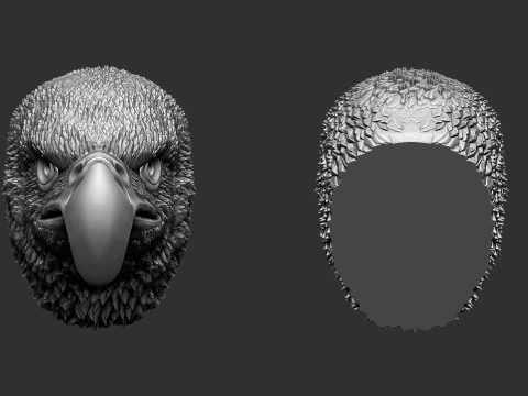 Eagle Head 3D Print Model